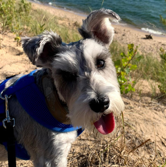 Meet your Posher, Beverley - Picture 1 of 1